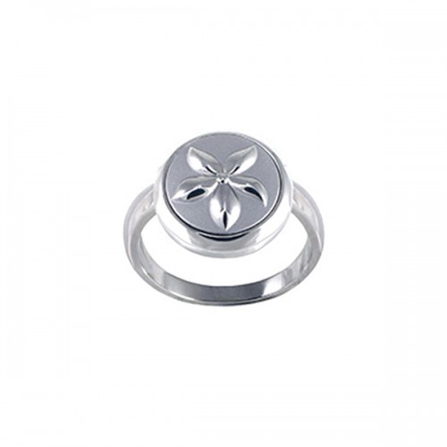 Ring L’essentielle SM SS Magnet 049